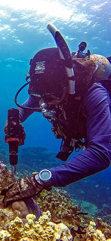 Diving Consultancy