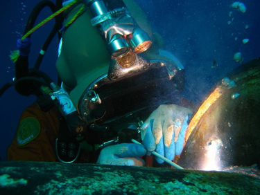 Diving Consultancy